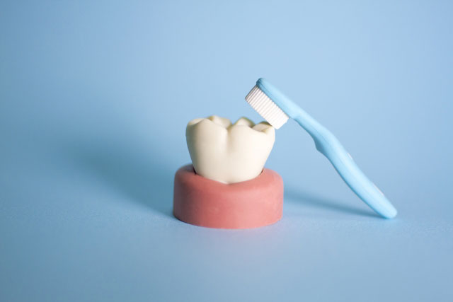 画像３歯のクリーニングについて分かりやすく解説
